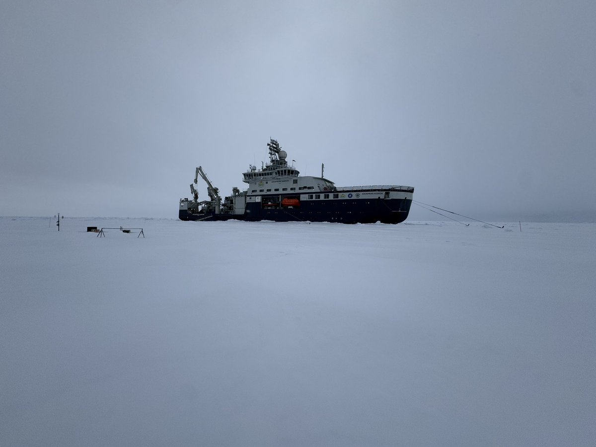 scientificgio's tweet image. Aboard the R/V Kronprins Haakon for microSHIFT 2025! Sampling to investigate community composition across different micro habitats in the ice. Thanks to @ISME_microbes for partial support to attend.