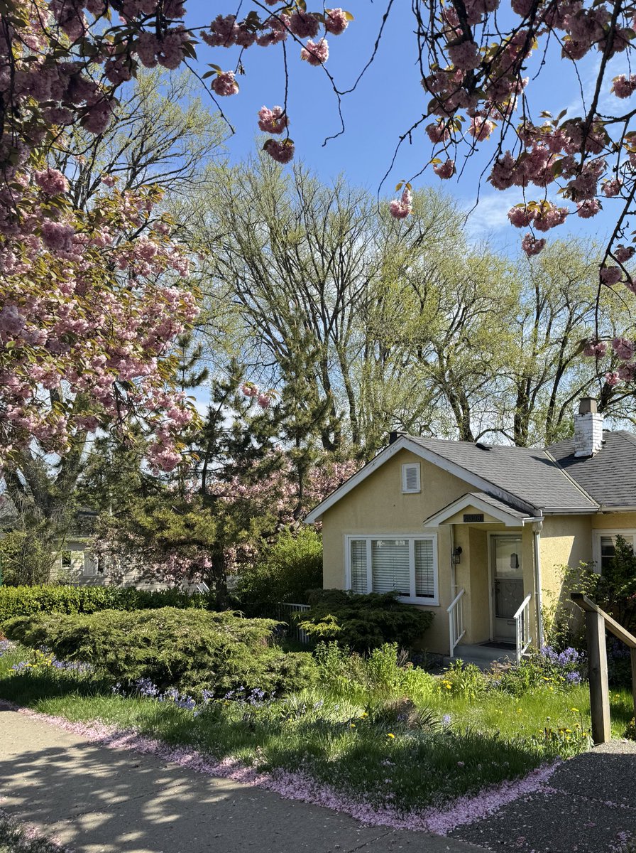 scarlettwants's tweet image. dreaming of my own little cottage