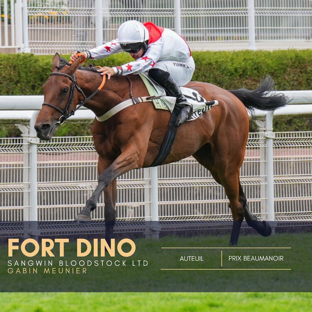 Hugo Merienne (@hmerienneracing) on Twitter photo 🥇 Belle victoire de FORT DINO et Gabin Meunier dans le Prix Beaumanoir hier à Auteuil pour son propriétaire <a href="/willsangwin190/">Will Sangwin</a>
Félicitations à son entourage et bravo à l’équipe! 🥂
#winner #racehorses #nationalhunt #doctordino #hugomerienneracing #auteuil
📸 @scoopdyga 🥇 Belle victoire de FORT DINO et Gabin Meunier dans le Prix Beaumanoir hier à Auteuil pour son propriétaire <a href="/willsangwin190/">Will Sangwin</a>
Félicitations à son entourage et bravo à l’équipe! 🥂
#winner #racehorses #nationalhunt #doctordino #hugomerienneracing #auteuil
📸 @scoopdyga
