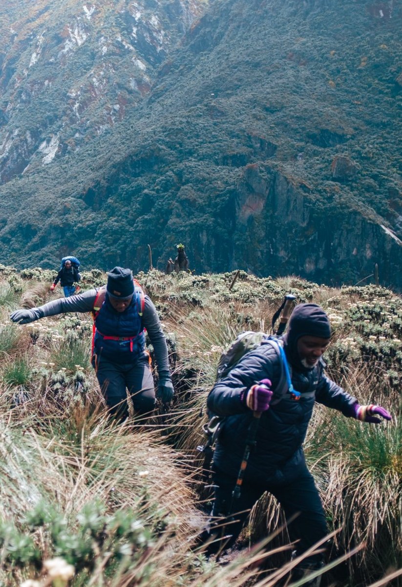 Amos Wekesa tweet media