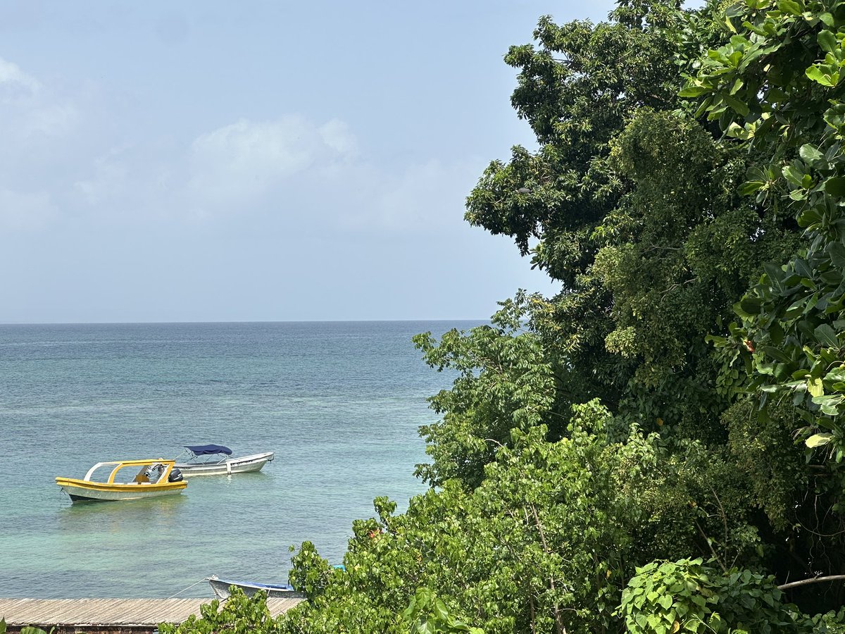 Buenos días de Domingo 1 Junio
2025 desde Cayo Levantado en 
Samaná, República Dominicana.

Es el Centésimo Quincuagésimo 
Segundo día 152/365.

Es primer día Sexto Mes del año.
Faltan 196 días para Noche Buena.
Faltan 213 días para el año 2026.

Santoral católico San Ińigo.