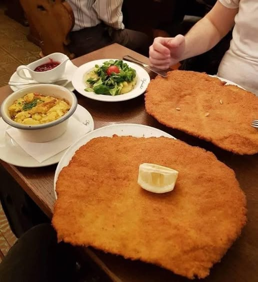 Wat vinden jullie van dit formaat schnitzels ?