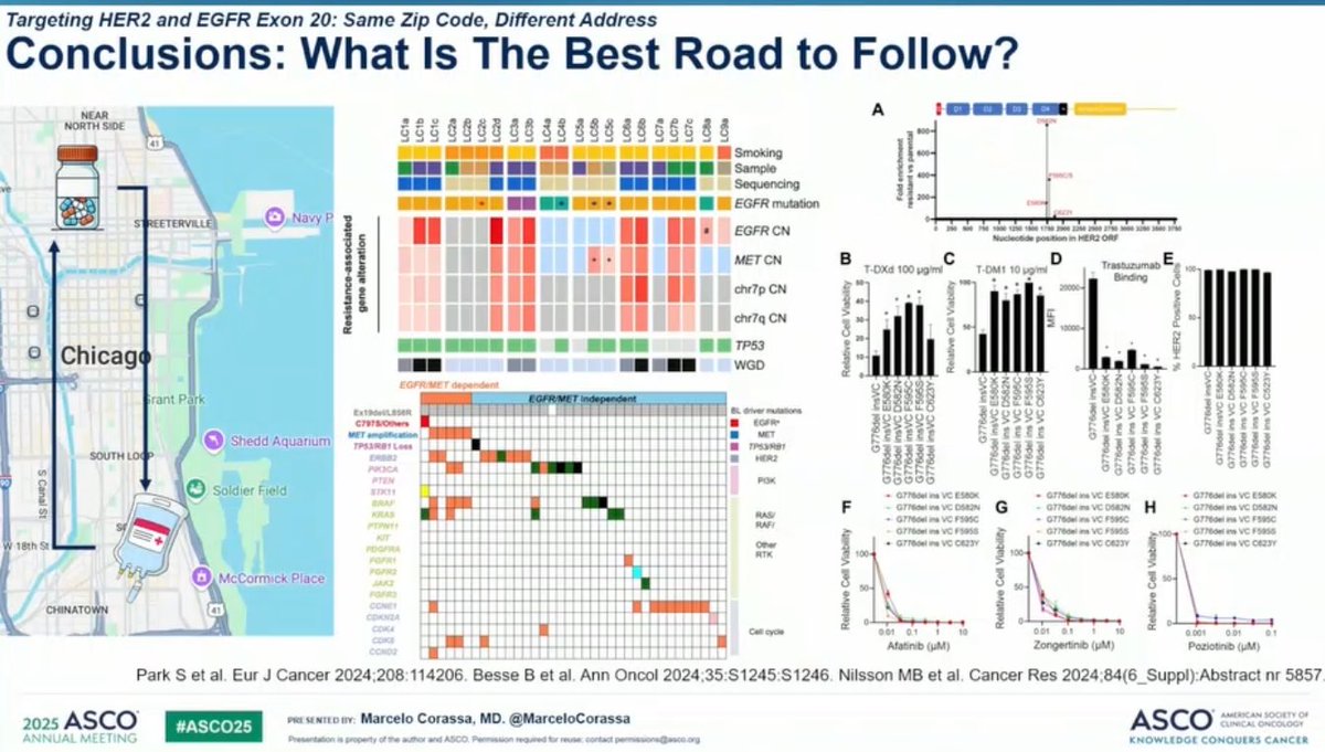 Stephen V Liu, MD (@stephenvliu) on Twitter photo Dr. <a href="/MarceloCorassa/">Marcelo Corassa, MD.</a> discusses targeted presentations for NSCLC at #ASCO25. Will TKIs overtake amivantamab for #EGFR exon 20 - how do we balance efficacy and safety? In HER2, like T-DXd and zongertinib - sevabertinib has impressive efficacy, but rates of diarrhea high. Dr. <a href="/MarceloCorassa/">Marcelo Corassa, MD.</a> discusses targeted presentations for NSCLC at #ASCO25. Will TKIs overtake amivantamab for #EGFR exon 20 - how do we balance efficacy and safety? In HER2, like T-DXd and zongertinib - sevabertinib has impressive efficacy, but rates of diarrhea high.