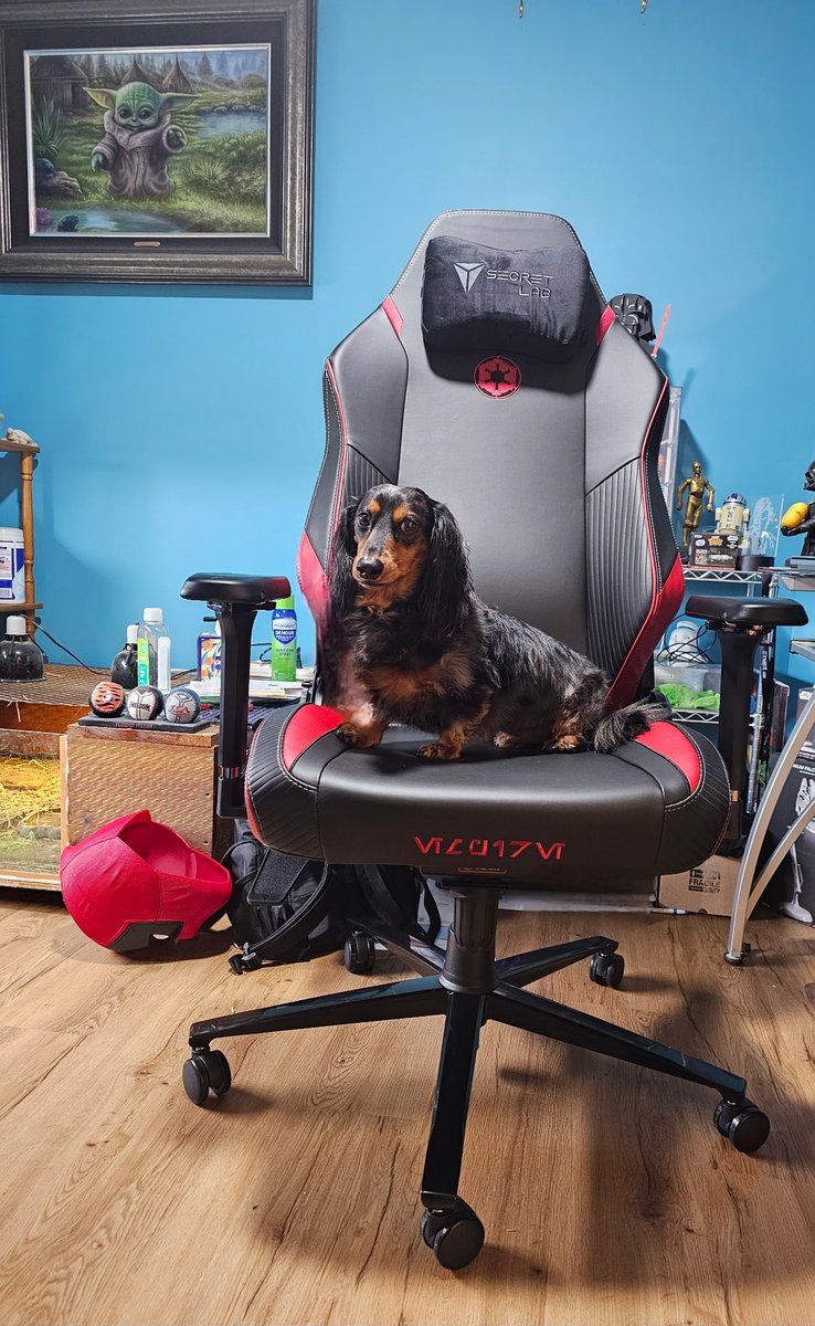 chad frommeyer tweet media