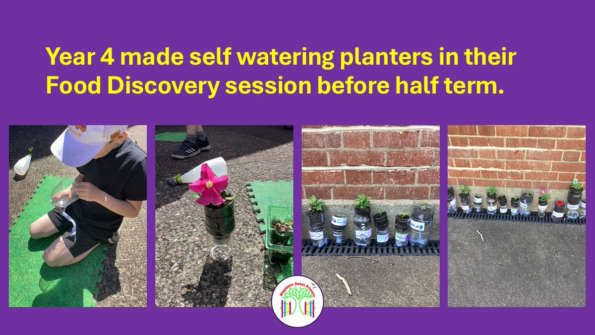 How are your plants doing now, Year 4? We would love to see them. Comment a picture 📸👇
