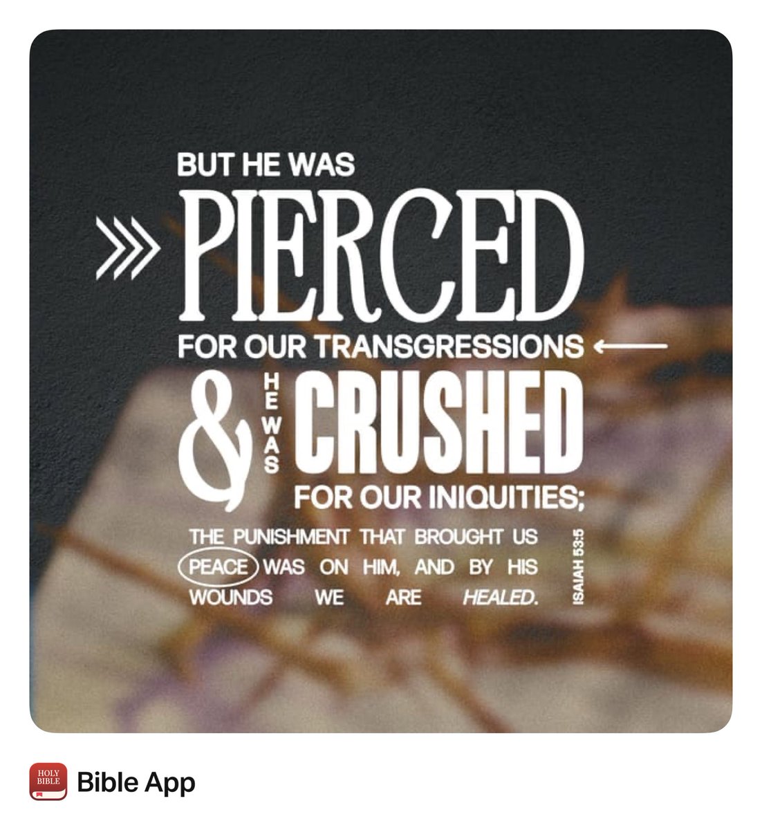 “But he was pierced for our rebellion, crushed for our sins. He was beaten so we could be whole. He was whipped so we could be healed.”
Isaiah 53:5 NLT bible.com/bible/116/isa.…