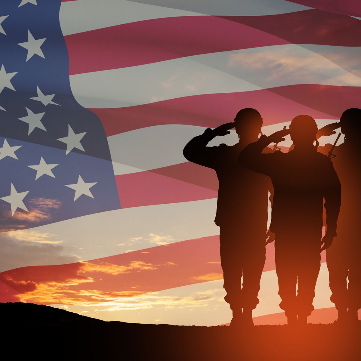 Happy Veterans Month.