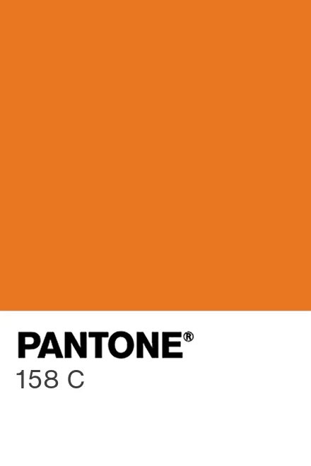 Color inspo from the 1976 French Open