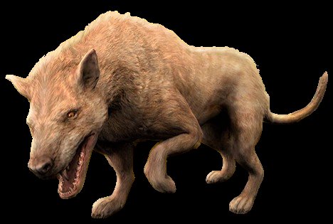 hyaenodon