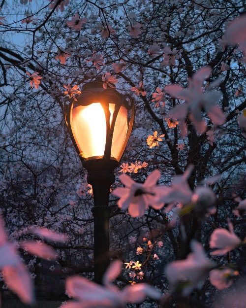 Good night