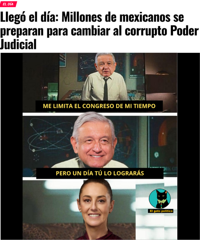 El gato político tweet media