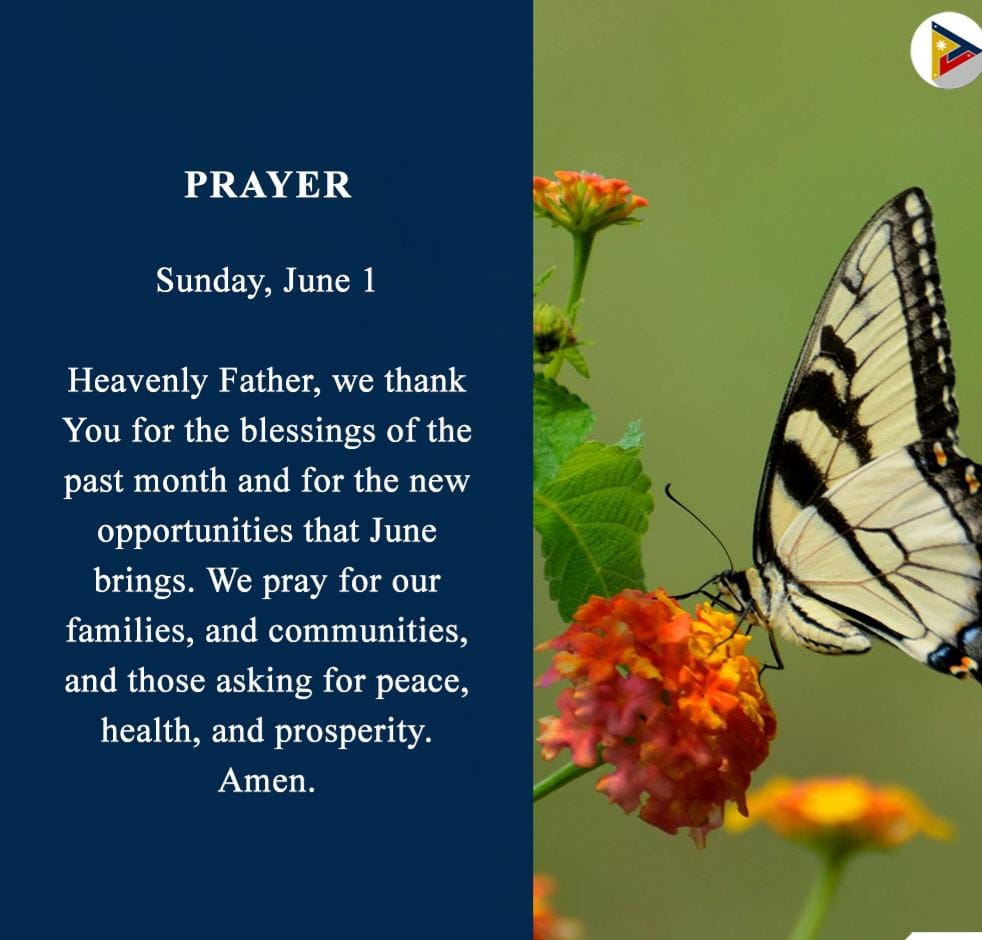 God, I thank you. 🙏

#praise #God #blessings