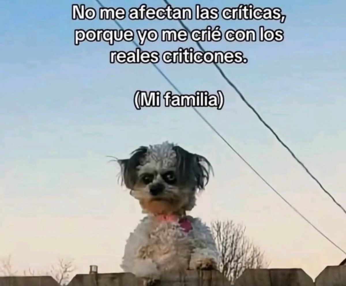 piña sin pizza (@skereunpesado) on Twitter photo 