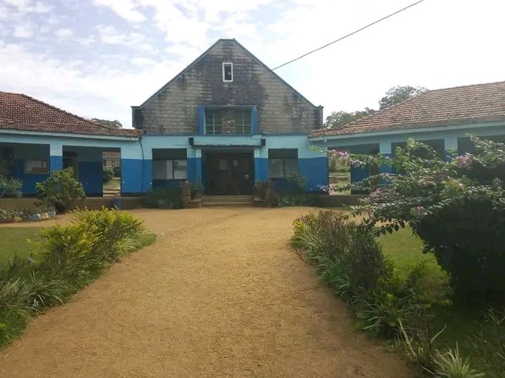 Explore Masaka Region tweet media