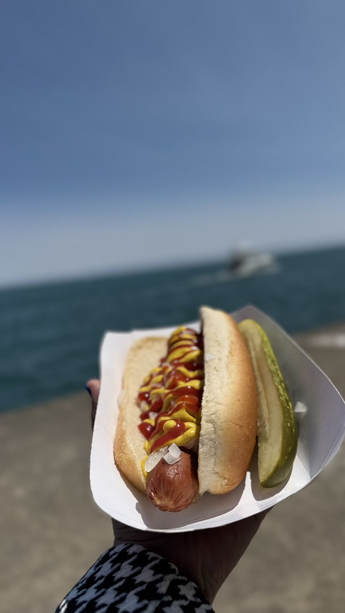 DrMariamBoota's tweet photo. Just @ASCO things … 
#chicagostylehotdogs #ASCO2025 #windycity #lakemichigan https://t.co/kpZ4xetiYy