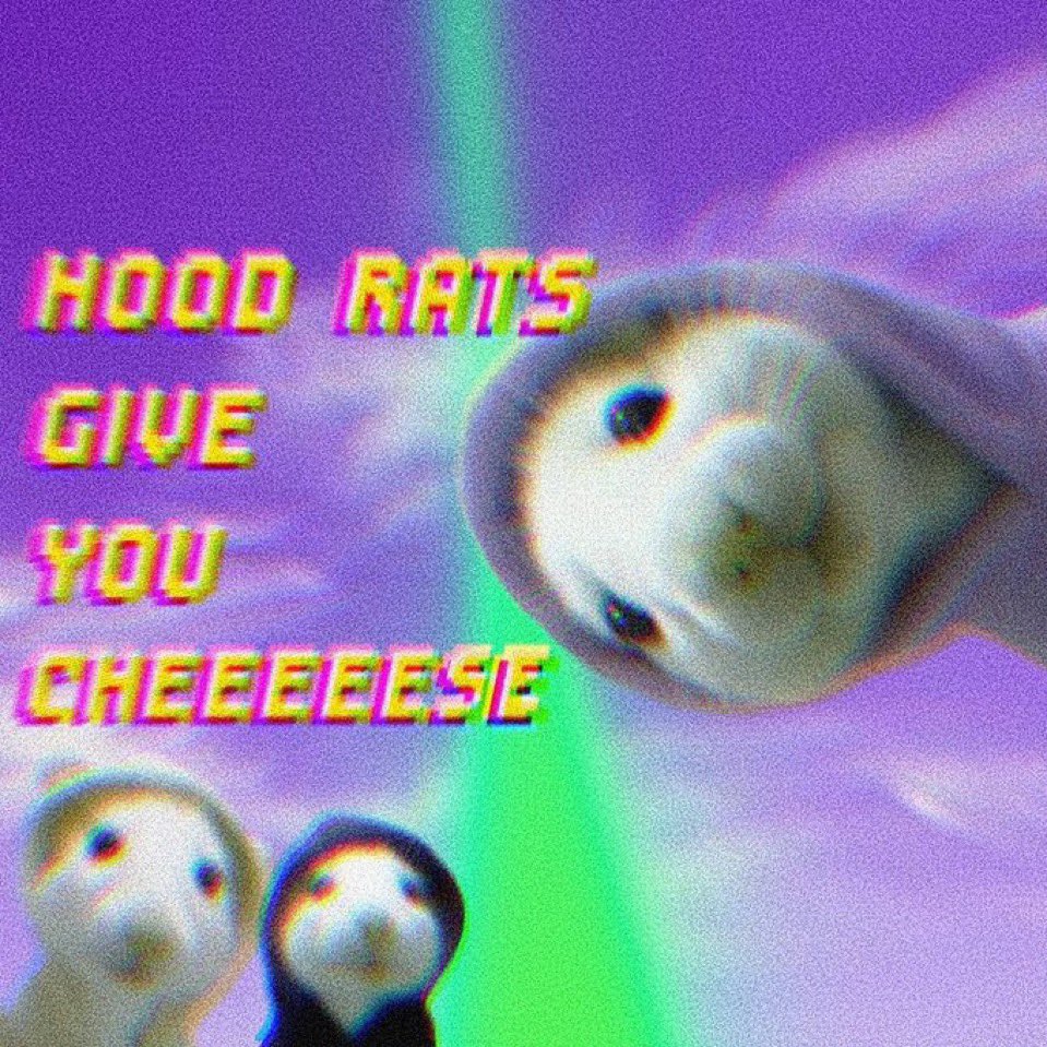 Shoestars (Hoodrat Arc) 🧀 tweet media
