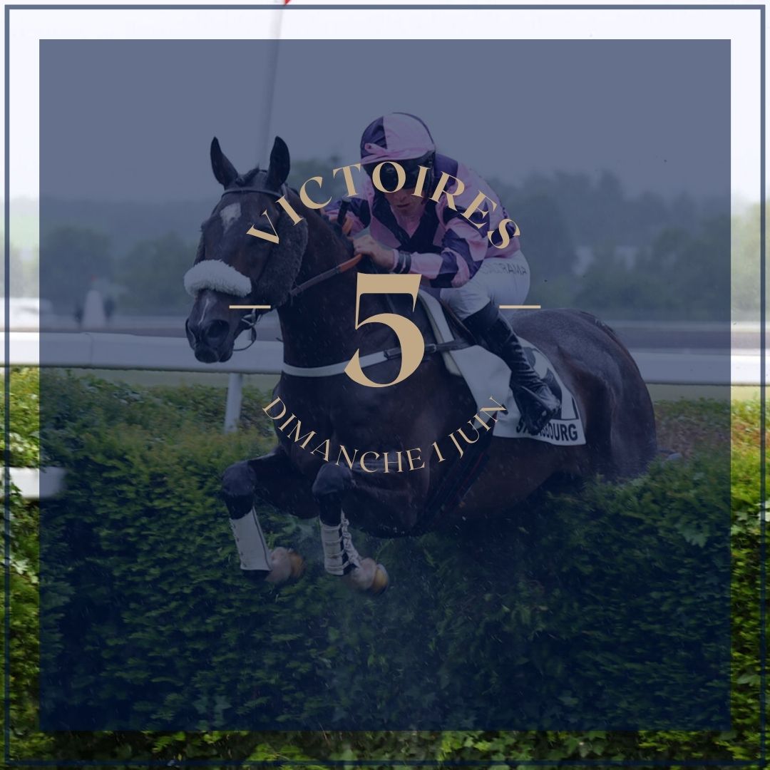 H. de Lageneste & G. Macaire (@hdl_gm_racing) on Twitter photo ๐ฅ๐๐ถ๐ฟ๐๐ฐ๐ต ๐ฃ๐ฒ๐ฝ๐ฝ๐ฒ๐ฟ (๐๐ฑ ๐๐ฟ๐ฒ๐ฎ๐ ๐ฃ๐ฟ๐ฒ๐๐ฒ๐ป๐ฑ๐ฒ๐ฟ)
๐ฅ๐๐ผ๐๐น๐ผ๐ ๐ฑ๐ ๐๐๐ (๐๐ฐ ๐ก๐ถ๐ฐ๐ฎ๐ฟ๐ผ๐ป)
๐ฅ๐ง๐ผ๐๐ฟ๐บ๐ฎ๐น๐ฒ๐ (๐๐ต ๐๐ฎ๐น๐น๐ถ๐ป๐ด๐ฎ๐ฟ๐ฟ๐)
๐ฅ๐๐ถ๐ฟ๐ถ๐ฏ๐ฎ๐๐ถ (๐๐ฑ ๐๐๐๐ฒ๐ท๐ผ)
๐ฅ๐ก๐ผ๐ฟ๐๐ต ๐ช๐ฎ๐ (๐๐ฐ ๐ก๐ถ๐ฐ๐ฎ๐ฟ๐ผ๐ป)
#ecuriemacairelageneste ๐ฅ๐๐ถ๐ฟ๐๐ฐ๐ต ๐ฃ๐ฒ๐ฝ๐ฝ๐ฒ๐ฟ (๐๐ฑ ๐๐ฟ๐ฒ๐ฎ๐ ๐ฃ๐ฟ๐ฒ๐๐ฒ๐ป๐ฑ๐ฒ๐ฟ)
๐ฅ๐๐ผ๐๐น๐ผ๐ ๐ฑ๐ ๐๐๐ (๐๐ฐ ๐ก๐ถ๐ฐ๐ฎ๐ฟ๐ผ๐ป)
๐ฅ๐ง๐ผ๐๐ฟ๐บ๐ฎ๐น๐ฒ๐ (๐๐ต ๐๐ฎ๐น๐น๐ถ๐ป๐ด๐ฎ๐ฟ๐ฟ๐)
๐ฅ๐๐ถ๐ฟ๐ถ๐ฏ๐ฎ๐๐ถ (๐๐ฑ ๐๐๐๐ฒ๐ท๐ผ)
๐ฅ๐ก๐ผ๐ฟ๐๐ต ๐ช๐ฎ๐ (๐๐ฐ ๐ก๐ถ๐ฐ๐ฎ๐ฟ๐ผ๐ป)
#ecuriemacairelageneste