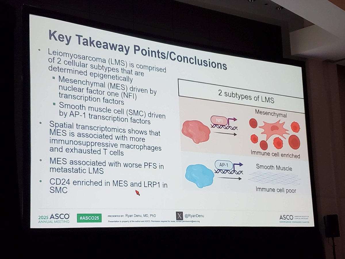 MD Anderson Cancer Center (@mdandersonnews) on Twitter photo Spatial transcriptomics revealed two new subtypes of leiomyosarcoma that are potential prognostic biomarkers for this rare and aggressive type of soft tissue sarcoma. Our fellow, Dr. <a href="/RyanDenu/">Ryan Denu, MD, PhD</a> presented results at an #ASCO25 session moderated by our Dr. <a href="/NassifElise/">Elise Nassif Haddad</a>. Read more: Spatial transcriptomics revealed two new subtypes of leiomyosarcoma that are potential prognostic biomarkers for this rare and aggressive type of soft tissue sarcoma. Our fellow, Dr. <a href="/RyanDenu/">Ryan Denu, MD, PhD</a> presented results at an #ASCO25 session moderated by our Dr. <a href="/NassifElise/">Elise Nassif Haddad</a>. Read more: