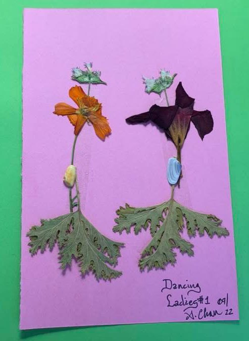 FLFlowerArtist's tweet photo. My journey as a #floral #artist started in Autumn 2021. The plight of women in #Afghanistan inspired my #DancingLadies fashioned from pressed and dried #flowers and #folliage grown in my garden. https://t.co/g2CpxMRGKi