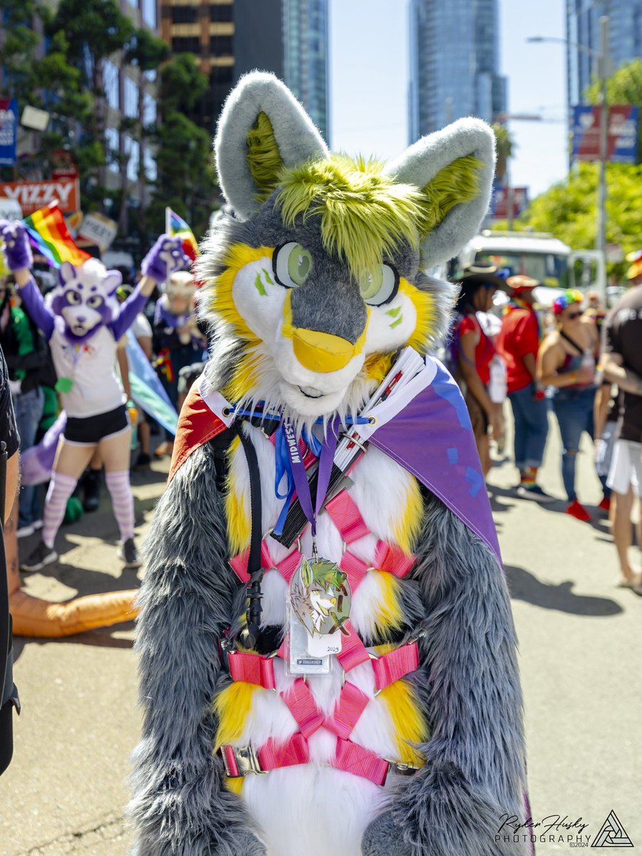 Happy Pride Month! 🏳️‍🌈

📷: <a href="/RykerHusky/">RykerHusky/Kureno</a>