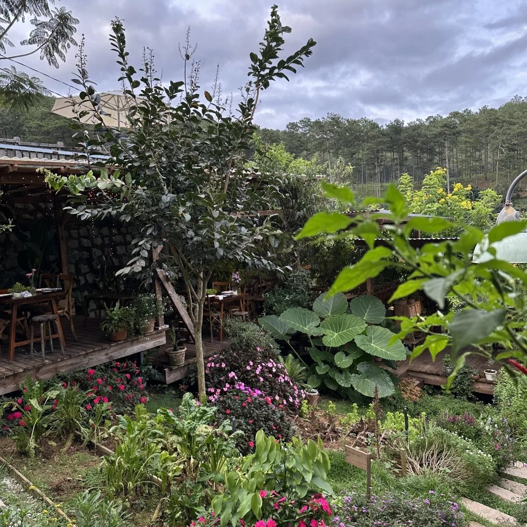 whatThese_on's tweet image. 