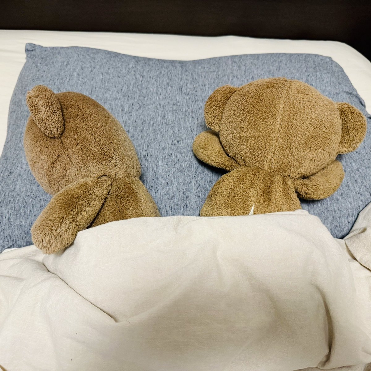 BorisPori's tweet image. Good night( ・ᴥ・ )🌙
