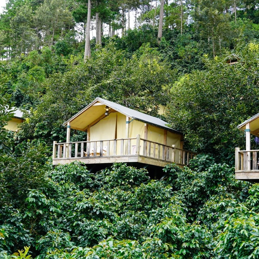 whatThese_on's tweet image. 