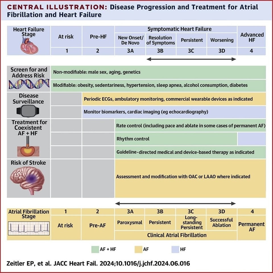 ZHeart11768530's tweet photo. 🔴Atrial Fibrillation &amp; HFrEF: New Assessment of an Old Problem⤵️ #2024Review  

🔹https://t.co/lcQIE4MX8q
 #FOAMed #MedEd #medstudent #paramedic #Cardiology #CardioEd #medtwitter #meded #CardioTwitter #cardiotwiteros  #MedX #cardiovascular #MedTwitter #medical https://t.co/u9Nts6N2rP