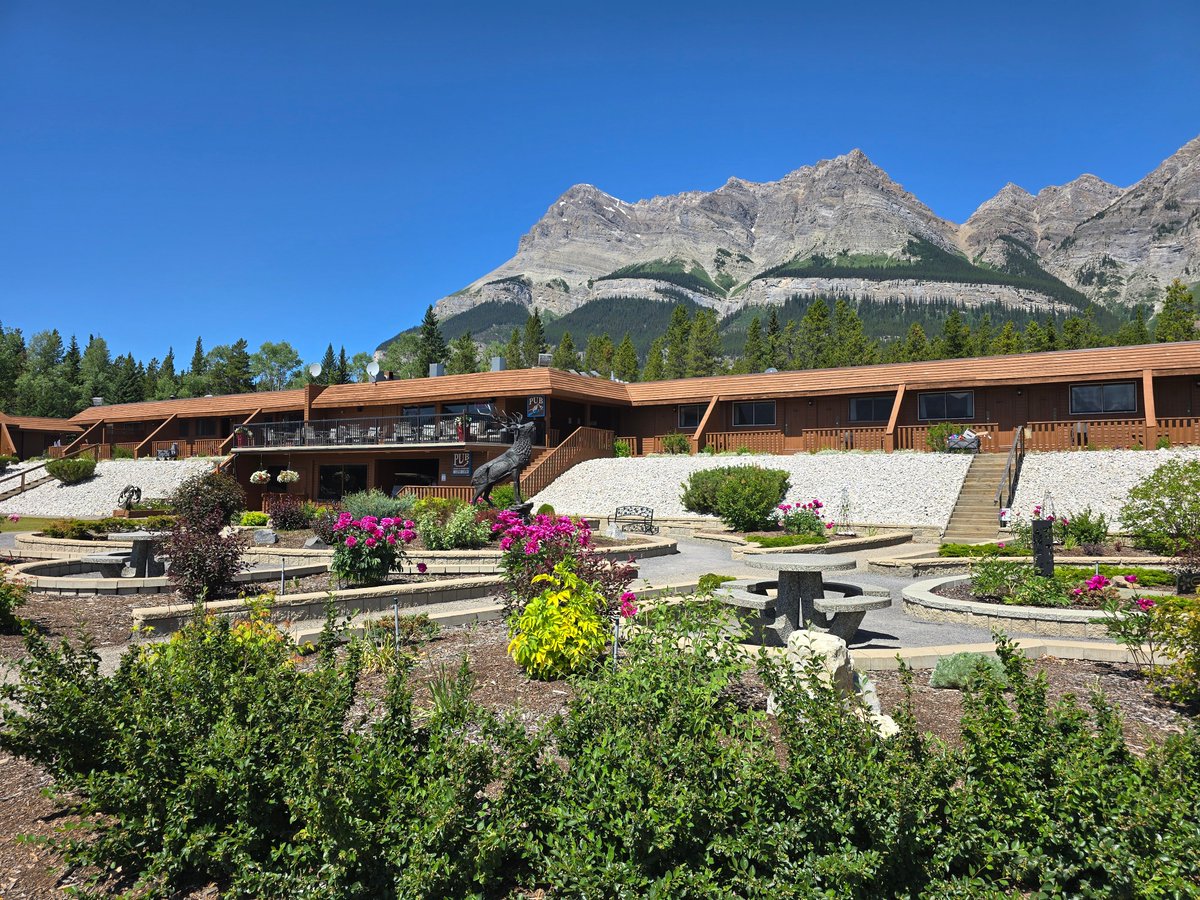 From today - June 15th, take advantage of a #discounted #roomrate with our Midweek Madness Special, the best value in #BanffNationalPark!
- 1 night stay in a Queen Standard room based on double occupancy
- Sunday to Thursday only
- Only $287, plus taxes!

thecrossingresort.com/features/june-…
