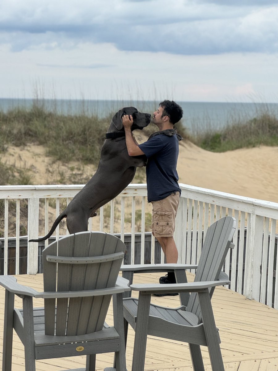 BillyLeFloof's tweet photo. Nice day at the beach. https://t.co/y1ckBqdDhu