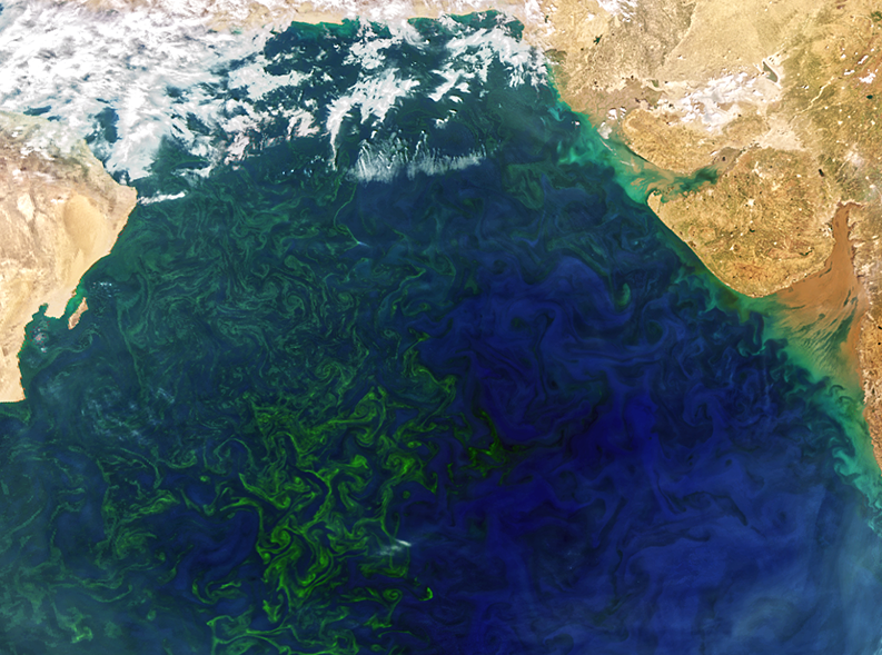 violin4all's tweet photo. Plankton Blooms: "A Mountain View From Space." #marinebiodiversity https://t.co/Pk4xNeHYp1