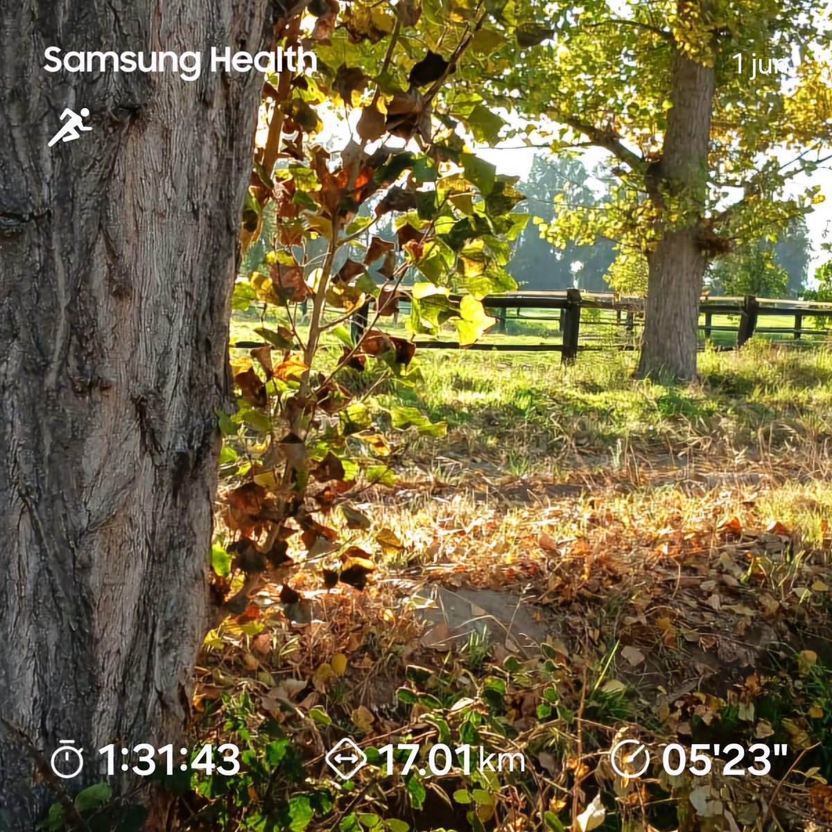 Trote mañanero cumplido 🏃‍♂️💪🏽🍂