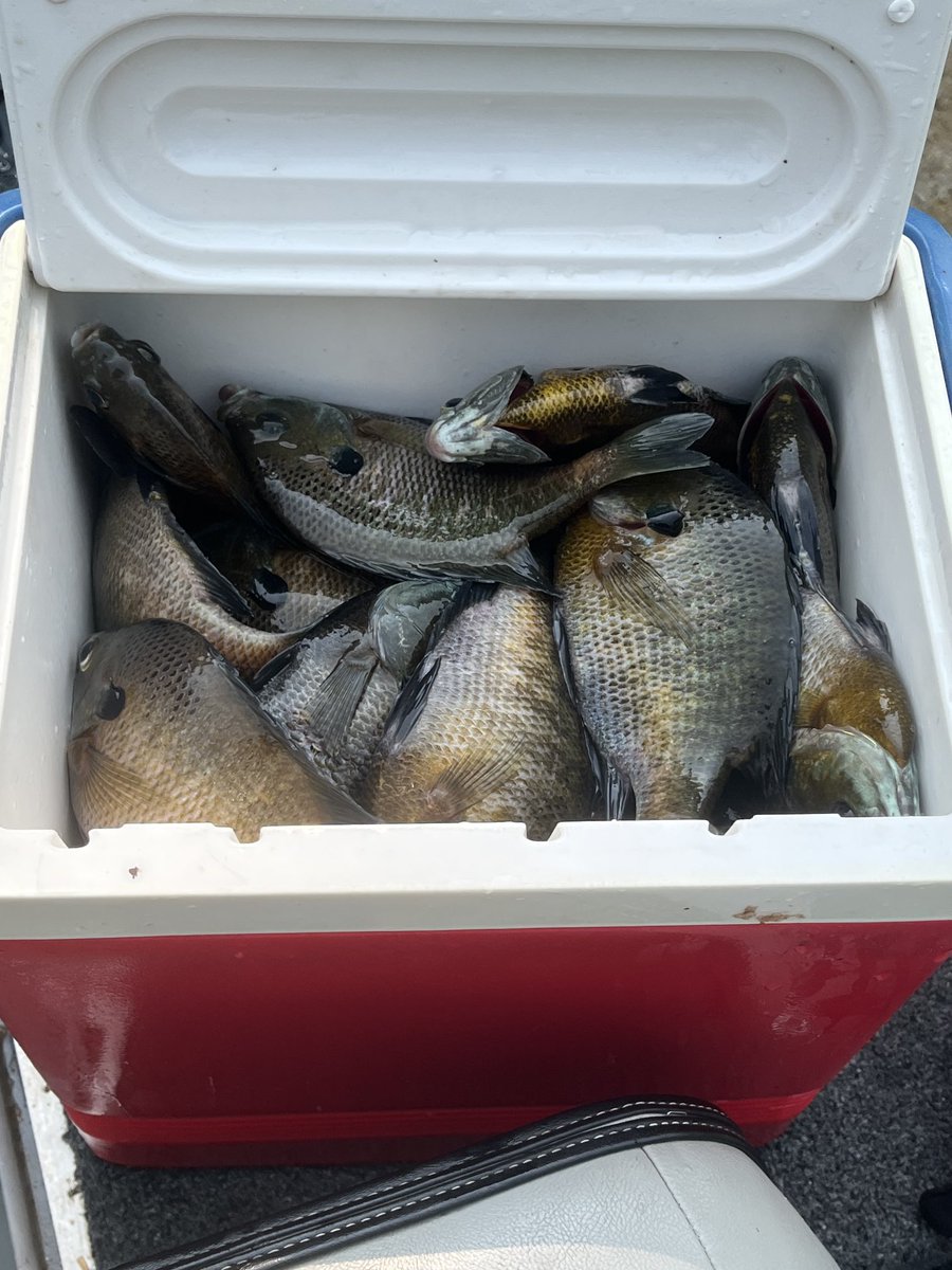 Great weekend on the lake!! 60 yesterday and 65 today in about 2 hours.   Great time!