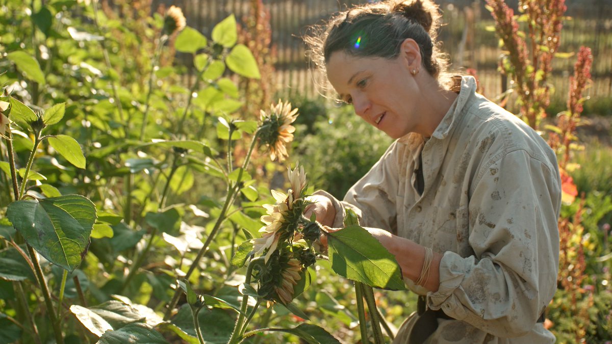 A photographer celebrates the botanical landscape of her cottage and big-city gardens. A textile artist weaves her garden and family life together with inspiring tapestries. A woman quits her job to grow flowers for non-traditional bouquets. Monday on <a href="/VisionTV/">VisionTV</a>  (9pm ET / 6pm PT)
