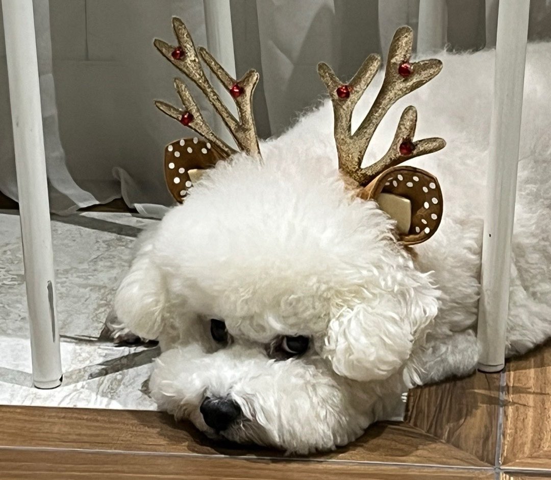 ☁️HAPPY VIVI DAY🥳🎉

비비야 생일 축하해🤍
항상 세훈이랑 함께 건강하고 오래오래 행복하길 바랄게🧡