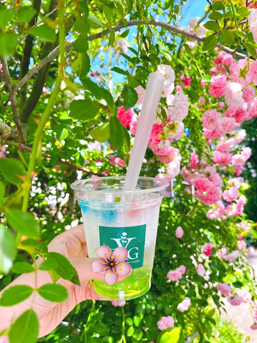 横浜イングリッシュガーデンに行きました〜!晴れの日は草花が瑞々しくて生き生きしててとても綺麗メインの通りの傘はオーロラがかっていて、日が差すと虹色の影が落ちて幻想的でした 紫陽花は雨上がりのあととかでも綺麗だろうな