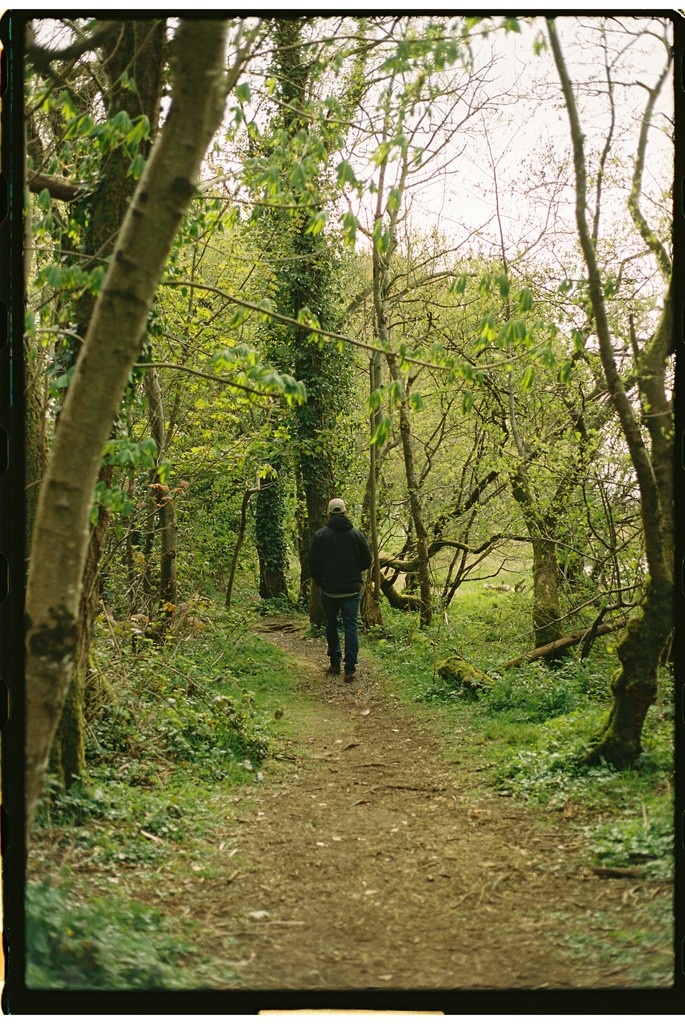 Virginia Park Lodge tweet media