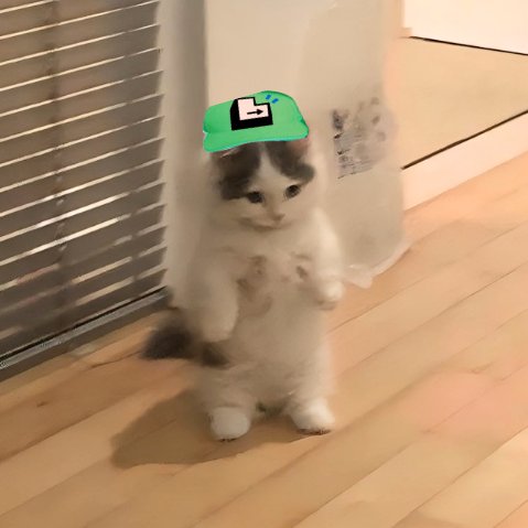 akinfemi_'s tweet photo. $LOUD predictions (real)

- 100m mcap at launch
- @blknoiz06 starts bullposting
- teleport to 200m mcap
- @0x_ultra reveals gender
- teleport to 400m mcap
- @banditxbt marries a latina
- teleport to 690m
-  @icobeast posts the most bullish thread ever https://t.co/37WmAd5kR1