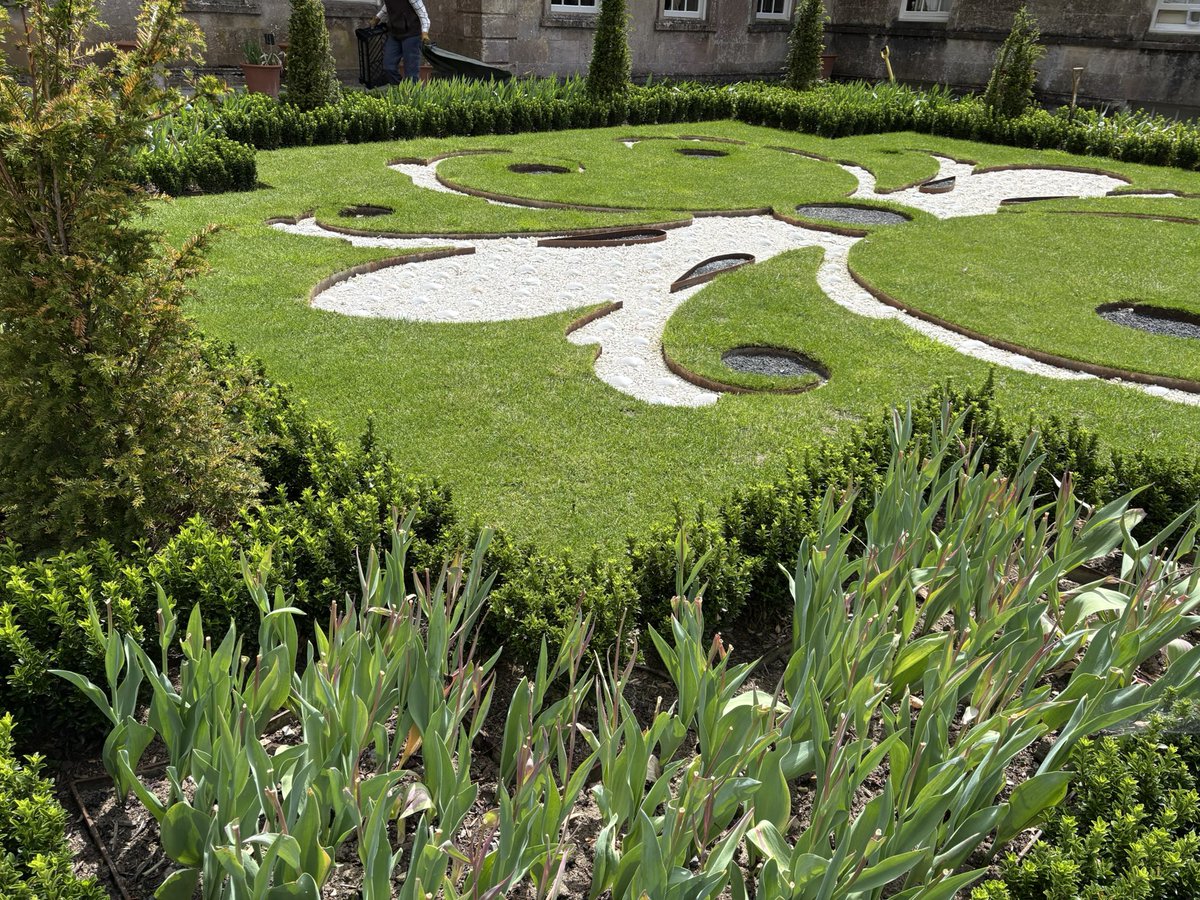 Jane Solomons tweet media