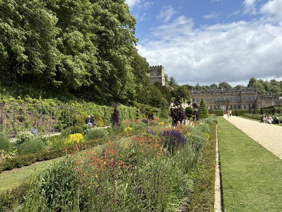 Jane Solomons tweet media