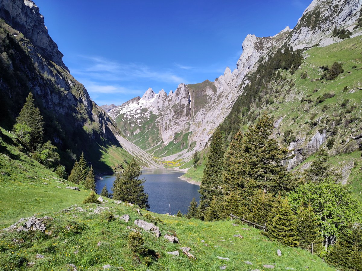 Stadicus3000's tweet image. Was für ein Wochenende in den Schweizer Bergen: Mit der #Berghilfe Schweiz zwei Tage Steinschlag von Alpweiden geräumt – bald kommen die Kühe.

Raupenwechsel am Bagger? Kein Problem! Wenn man einen Panzerkommandanten dabei hat.