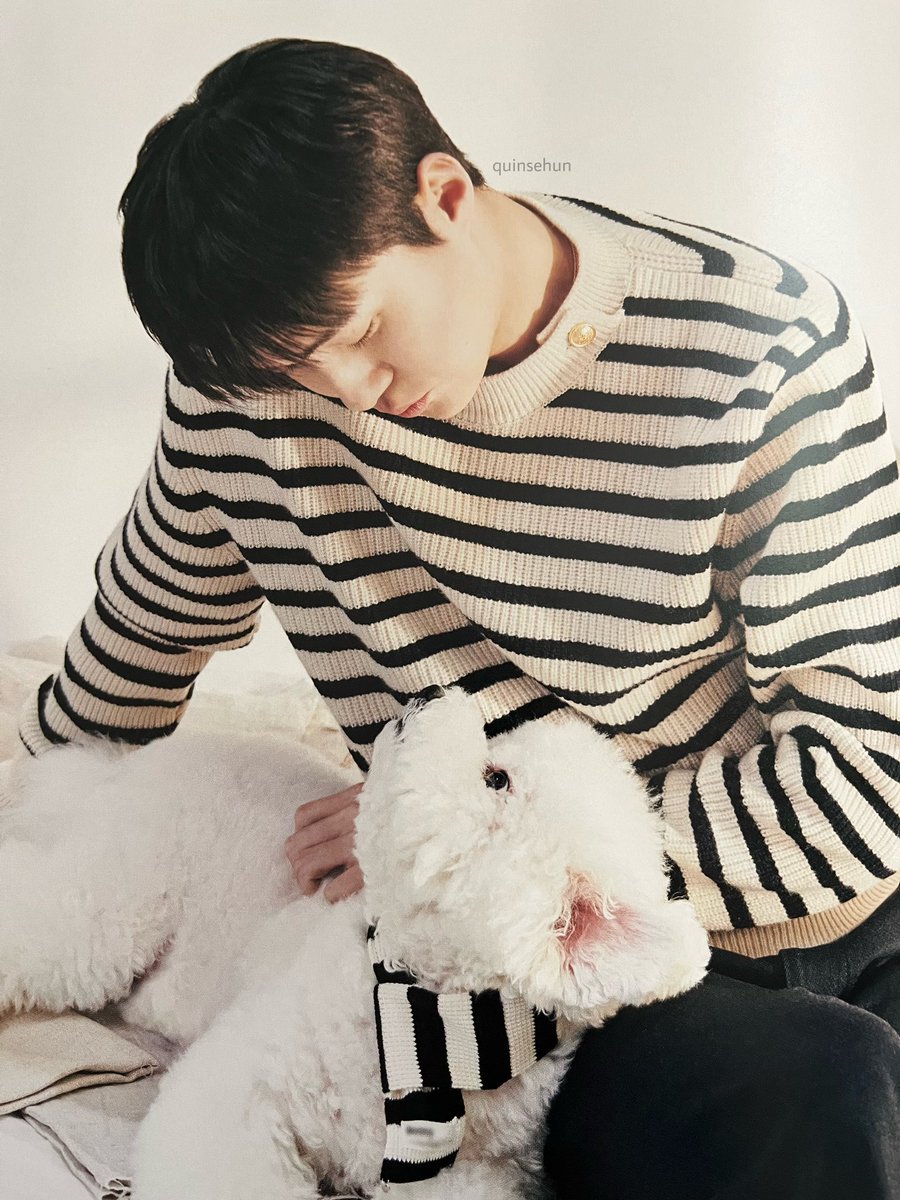 밀키훈 (@milkysehun412) on Twitter photo Sehun talks about Vivi: 
Vivi actually means “to be alive.”
“He is a baby that i met when i was going through my hardest times, he is like a friend to me.”
“I had a feeling that we both are designated to be together.”
Happy Vivi Day 🧡
#ViviBigDay #Vivi #SEHUN #세훈 Sehun talks about Vivi: 
Vivi actually means “to be alive.”
“He is a baby that i met when i was going through my hardest times, he is like a friend to me.”
“I had a feeling that we both are designated to be together.”
Happy Vivi Day 🧡
#ViviBigDay #Vivi #SEHUN #세훈