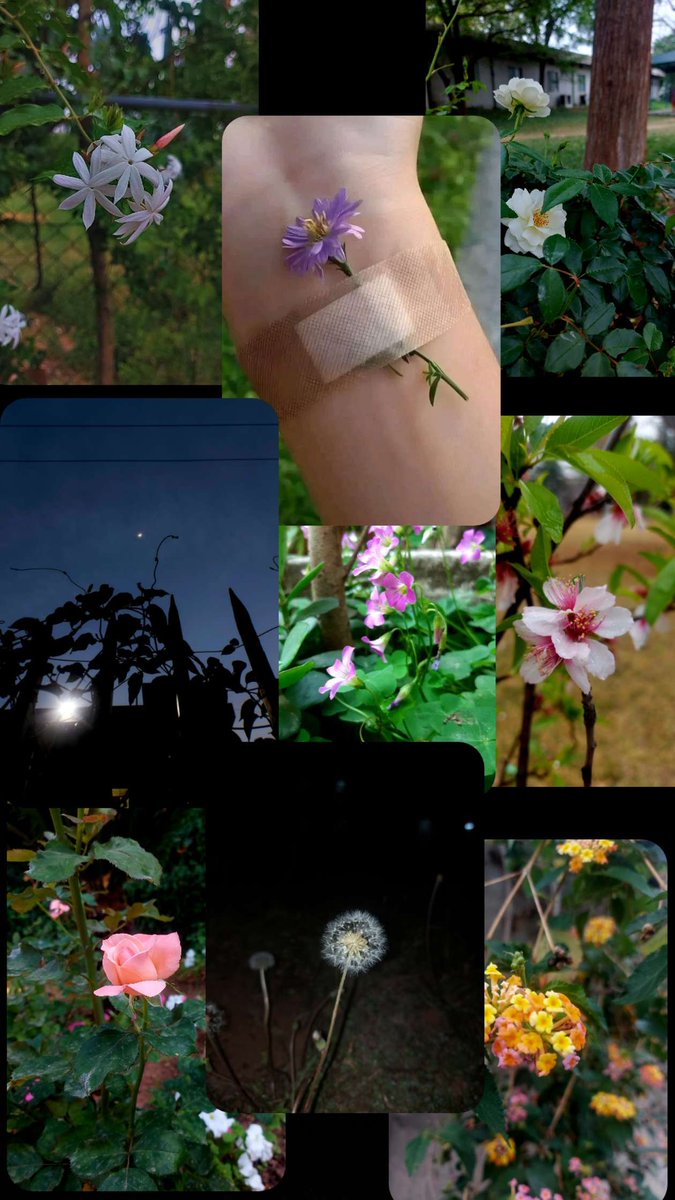 2025 Flowers Media💜💫