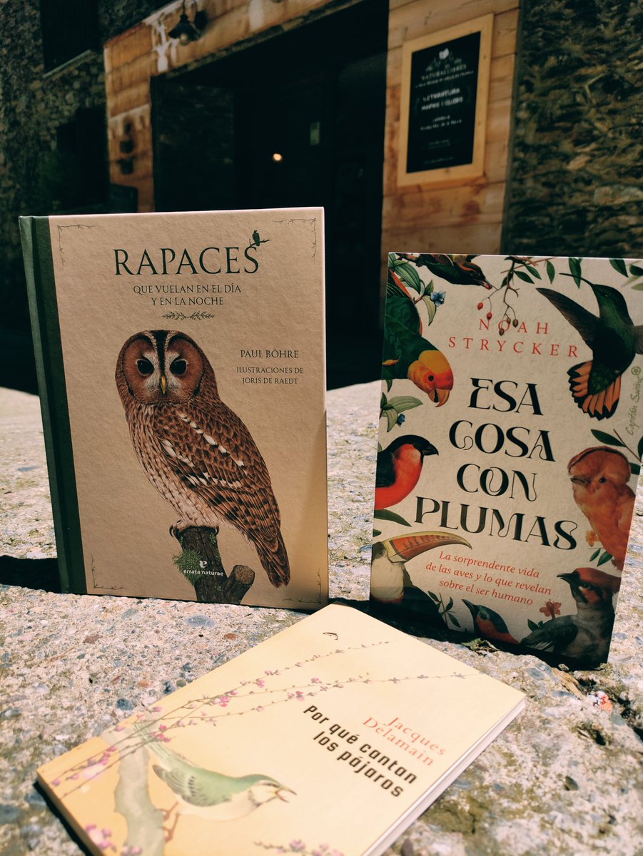#NouVinguts a #NaturaLlibres!
📗Els ramaders del 2000
📕Cosetes
📙La morera de Jerusalén
📘Els nostres infinits dies comptats
📗Bosques negros, cielo azul
📕Rapaces que vuelan en el día y en la noche
📙Esa cosa con plumas
📘Por qué cantan los pájaros

🧵📚👇
