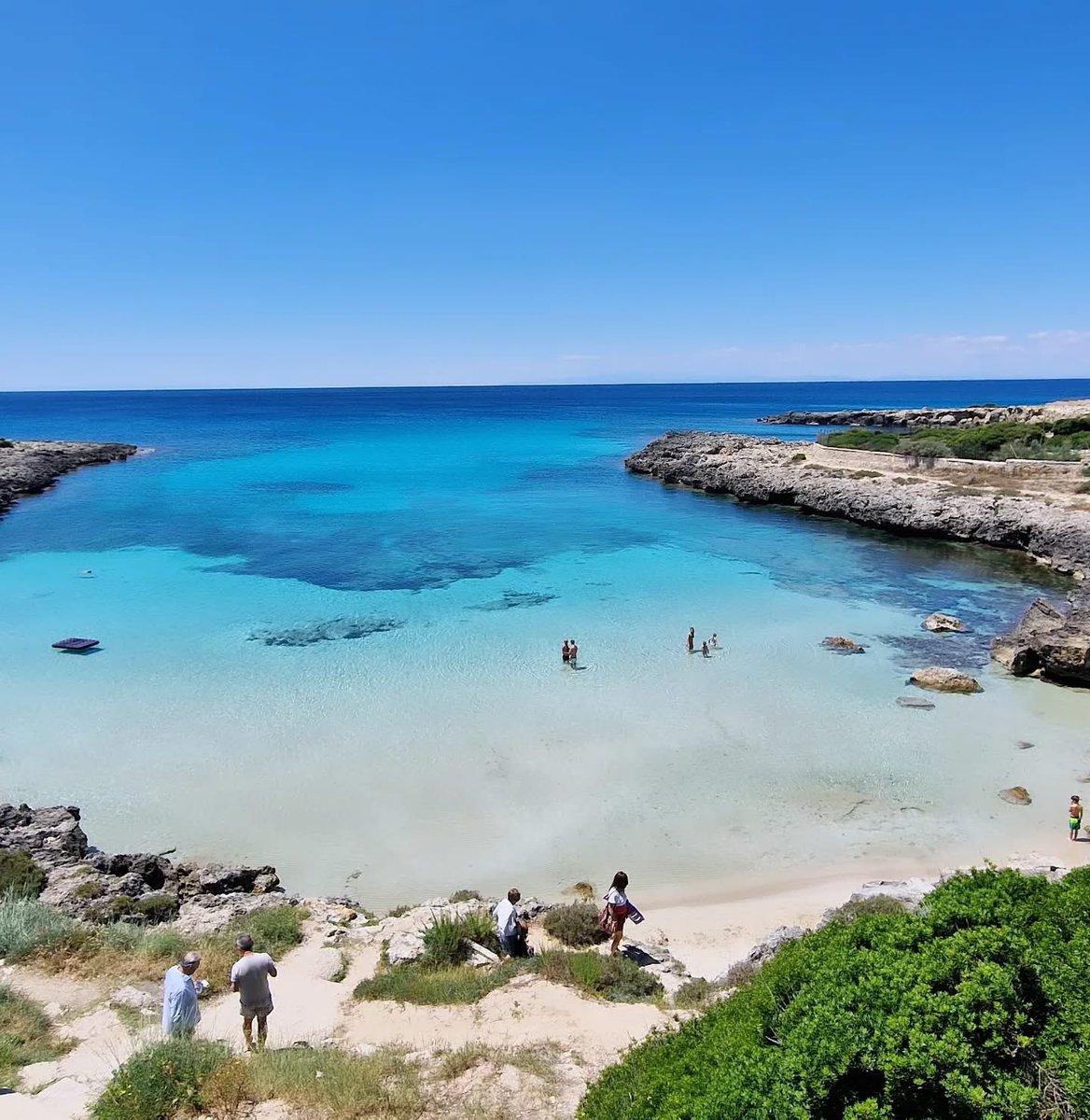 Made in Taranto © tweet media