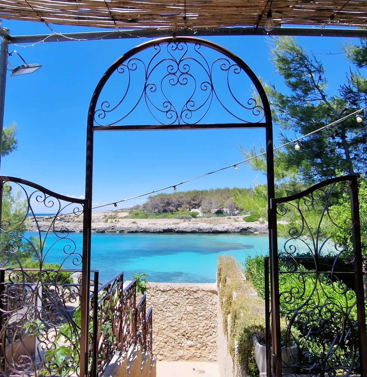 Made in Taranto © tweet media