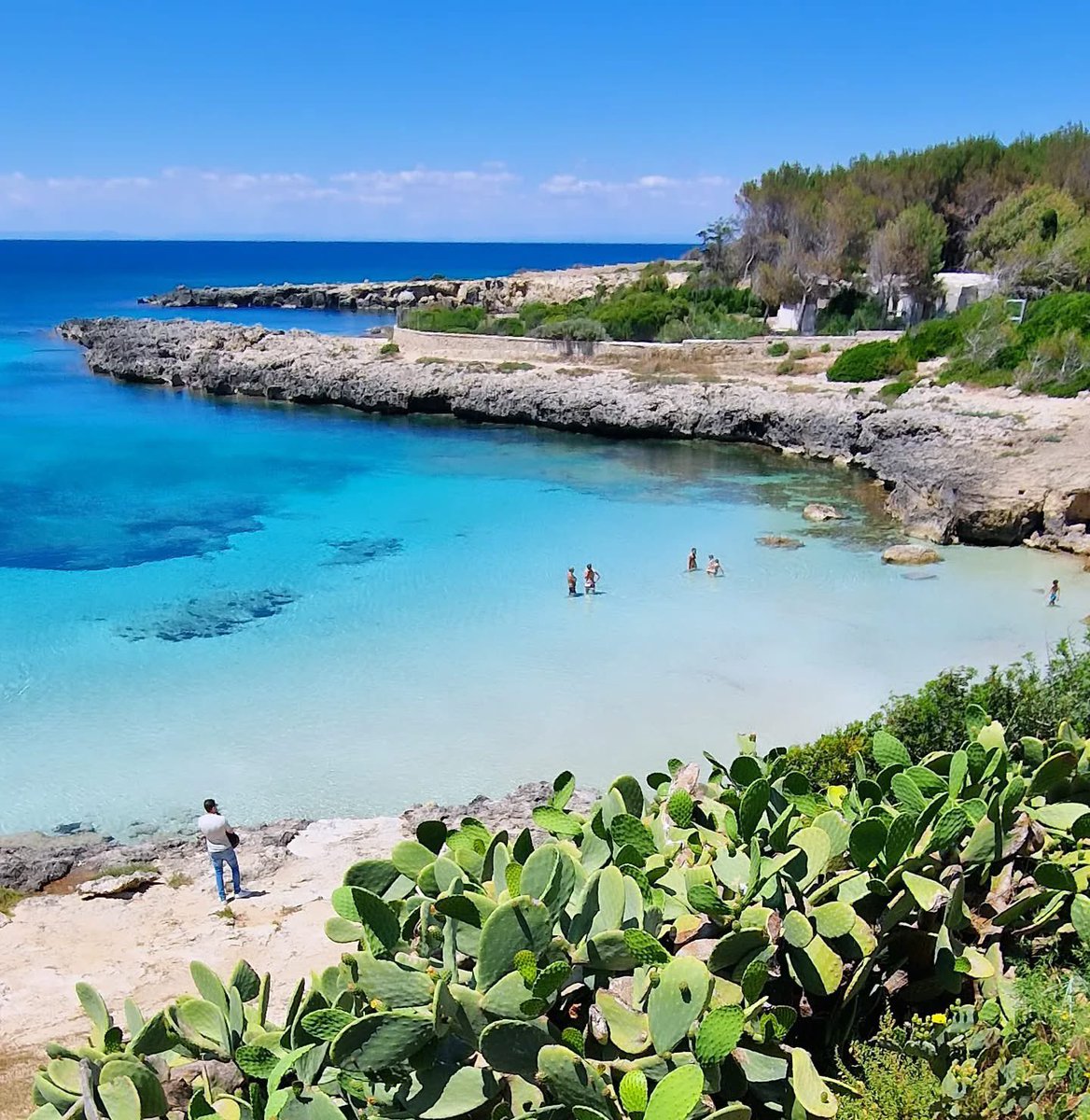 Made in Taranto © tweet media