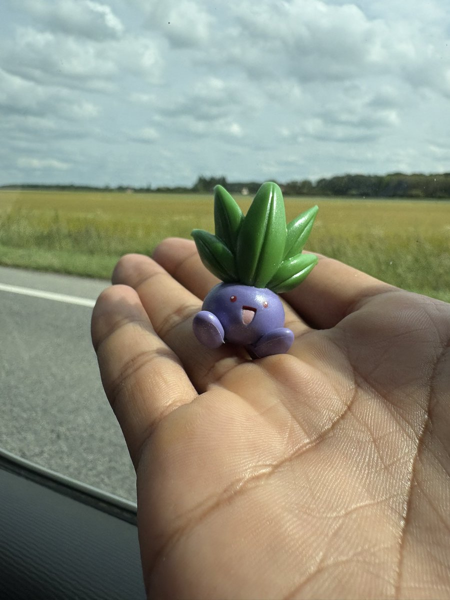 OnzeBlogsPkm's tweet photo. @TheAbsol Cal Zone ! look what i found in a flea market ! https://t.co/E47IfzGZik
