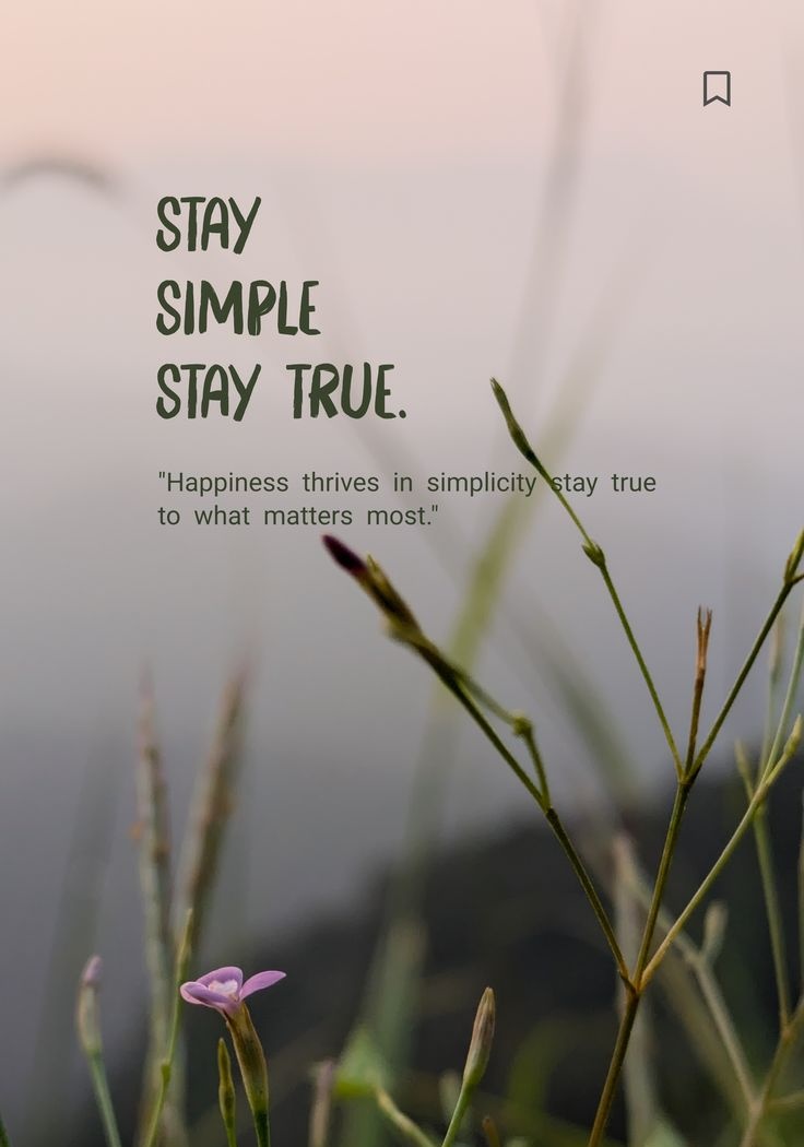 POSITIVITY (@positivitysaid) on Twitter photo 