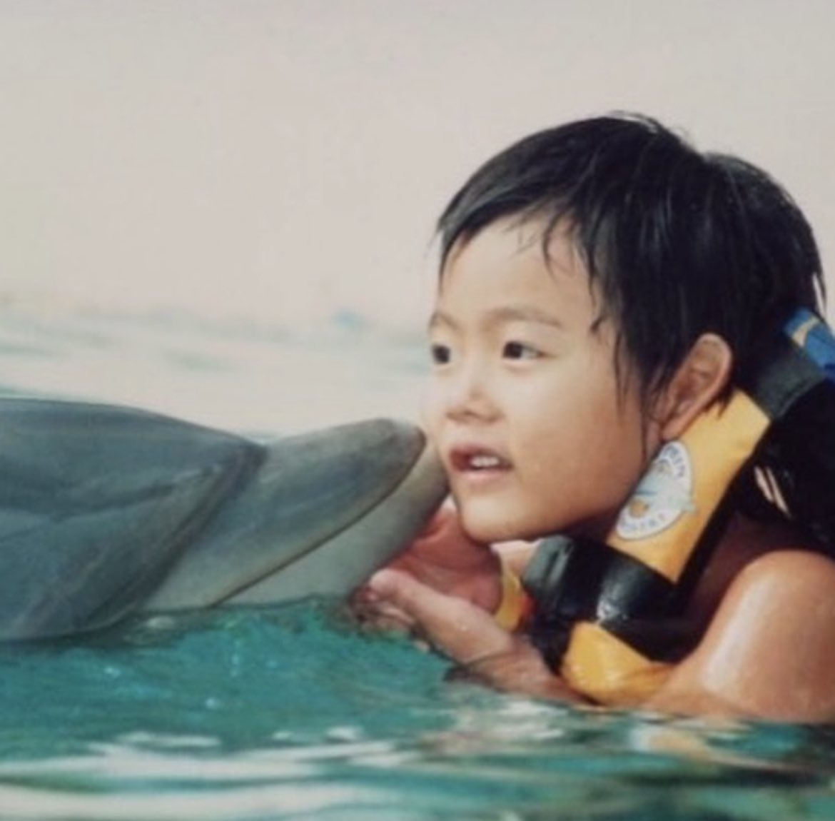 たじろむはハワイでイルカと写真撮ってるし、りひろとはオーストラリアでコアラと写真撮ってるの凄すぎでしょ！どっちも国内じゃなくて海外よ